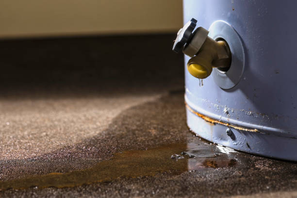Best Flood restoration services  in Ball, LA