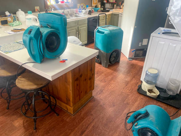  Ball, LA Water damage restoration Pros