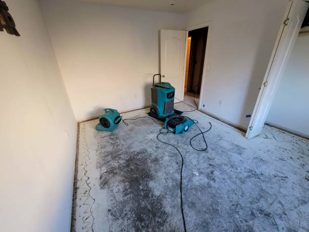 Best Water damage cleanup near me  in Ball, LA
