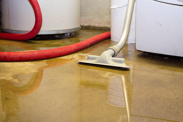 Reliable Ball, LA Water damage restoration Solutions